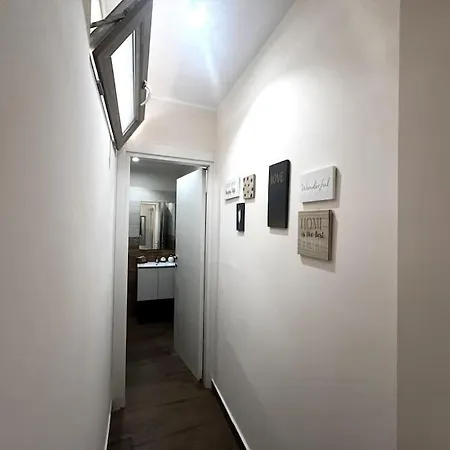 Apartment Losy